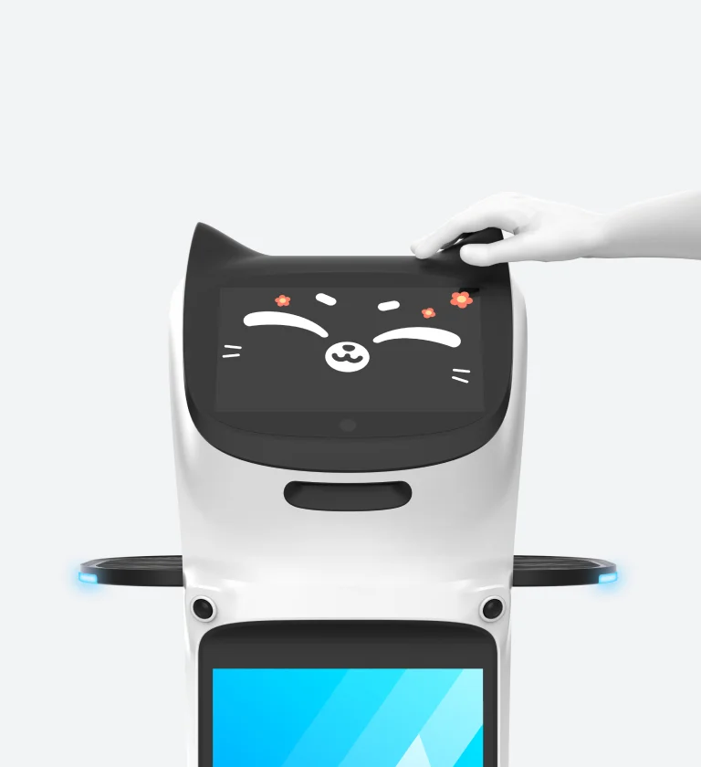 Interaccion Tactil en Orejas